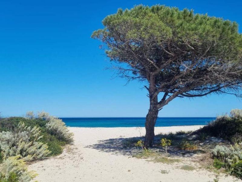 Il Casale Villa Budoni Dış mekan fotoğraf